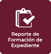 Reporte de Formacin de Expediente